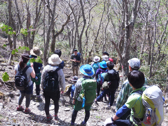 自然観察のプロと行く、石鎚山系エコツアー
